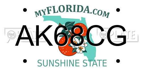AK68CG Florida License Plate