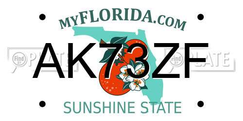 AK73ZF Florida License Plate