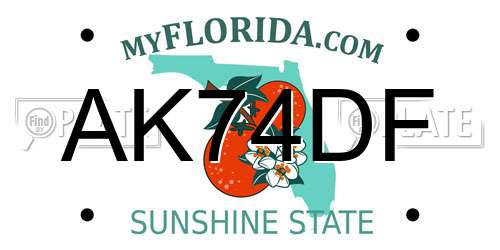 AK74DF Florida License Plate