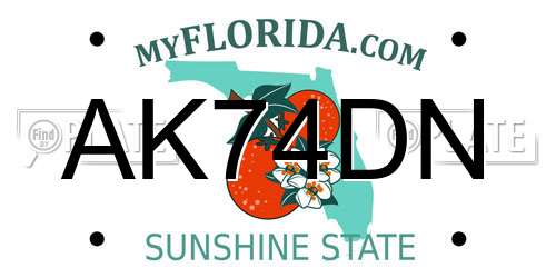 AK74DN Florida License Plate