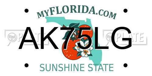 AK75LG Florida License Plate