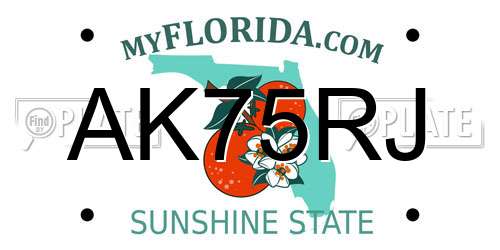 AK75RJ Florida License Plate
