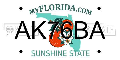 AK76BA Florida License Plate