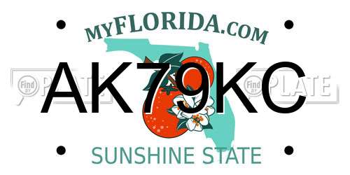 AK79KC Florida License Plate