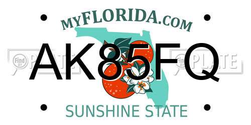 AK85FQ Florida License Plate