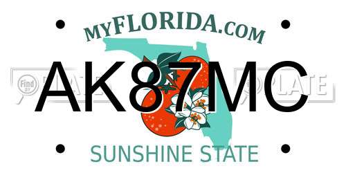 AK87MC Florida License Plate