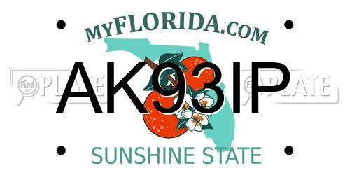 AK93IP Florida License Plate