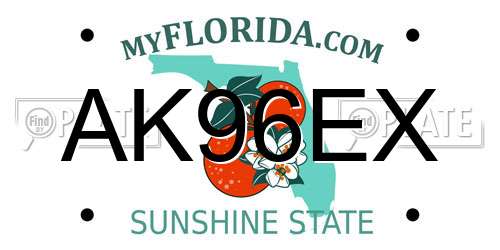 AK96EX Florida License Plate