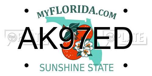AK97ED Florida License Plate