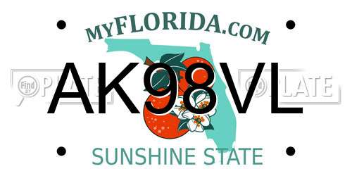 AK98VL Florida License Plate