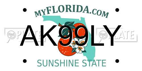 AK99LY Florida License Plate
