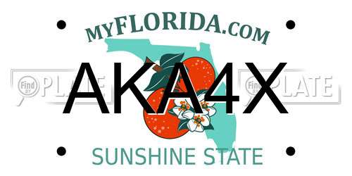 AKA4X Florida License Plate