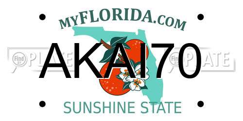 AKAI70 Florida License Plate