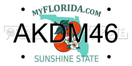 AKDM46 Florida License Plate