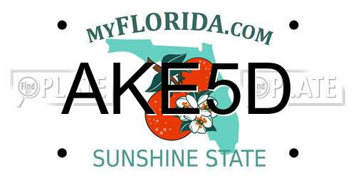 AKE5D Florida License Plate