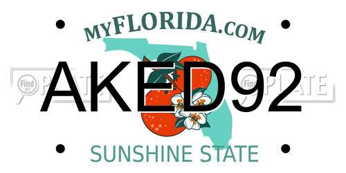 AKED92 Florida License Plate