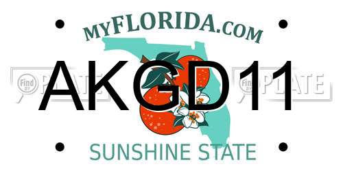 AKGD11 Florida License Plate