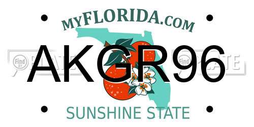 AKGR96 Florida License Plate