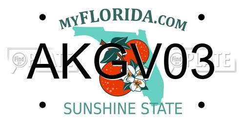 AKGV03 Florida License Plate