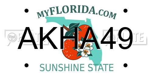 AKHA49 Florida License Plate
