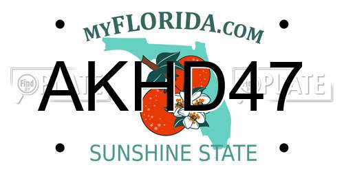 AKHD47 Florida License Plate