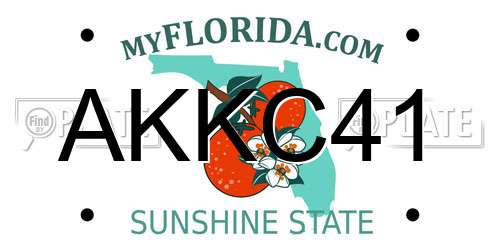 AKKC41 Florida License Plate