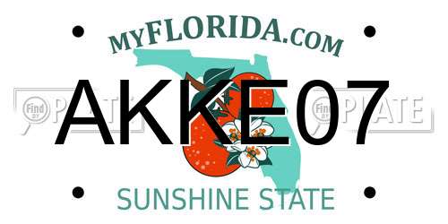AKKE07 Florida License Plate