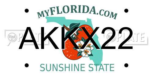 AKKX22 Florida License Plate