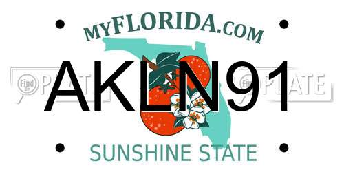 AKLN91 Florida License Plate