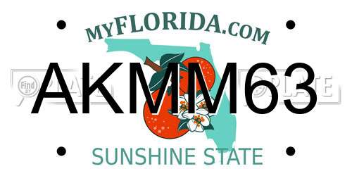 AKMM63 Florida License Plate