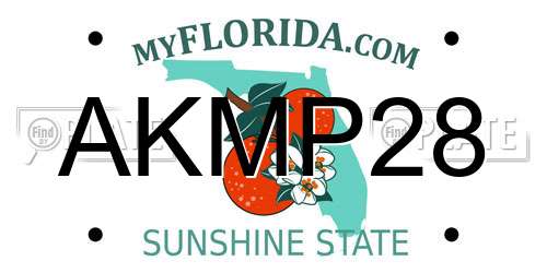 AKMP28 Florida License Plate