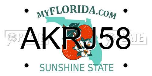 AKRJ58 Florida License Plate