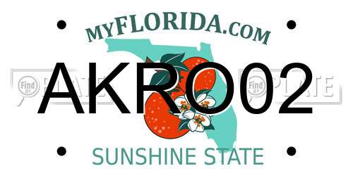 AKRO02 Florida License Plate