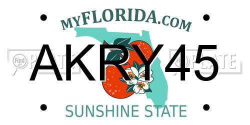 AKRY45 Florida License Plate