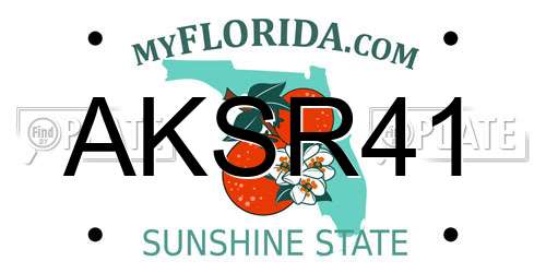 AKSR41 Florida License Plate