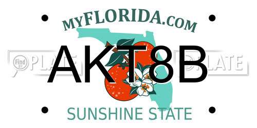AKT8B Florida License Plate