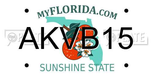 AKVB15 Florida License Plate