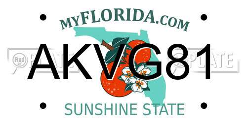 AKVG81 Florida License Plate