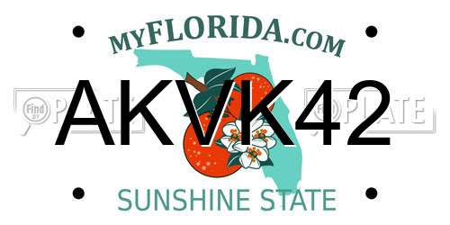 AKVK42 Florida License Plate