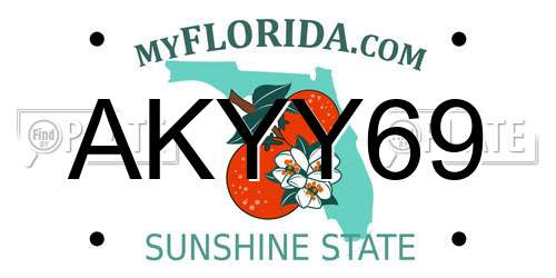 AKYY69 Florida License Plate
