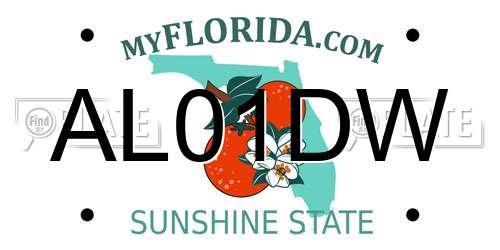 AL01DW Florida License Plate
