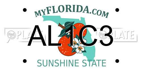 AL1C3 Florida License Plate
