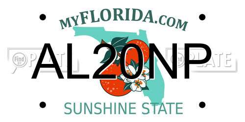 AL20NP Florida License Plate