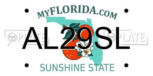 AL29SL Florida License Plate