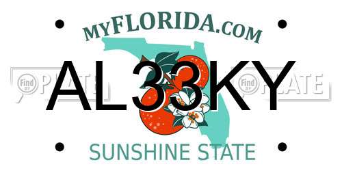 AL33KY Florida License Plate