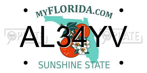 AL34YV Florida License Plate
