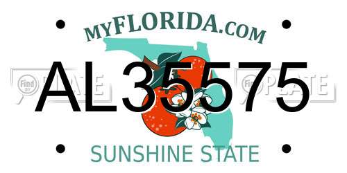 AL35575 Florida License Plate