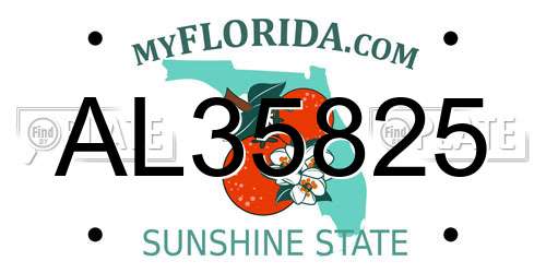 AL35825 Florida License Plate