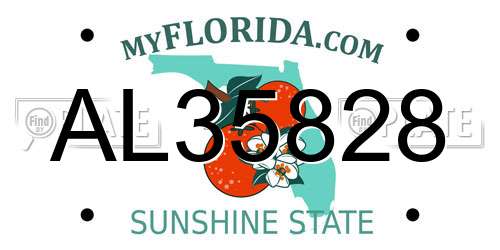 AL35828 Florida License Plate