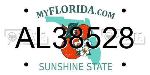 AL38528 Florida License Plate